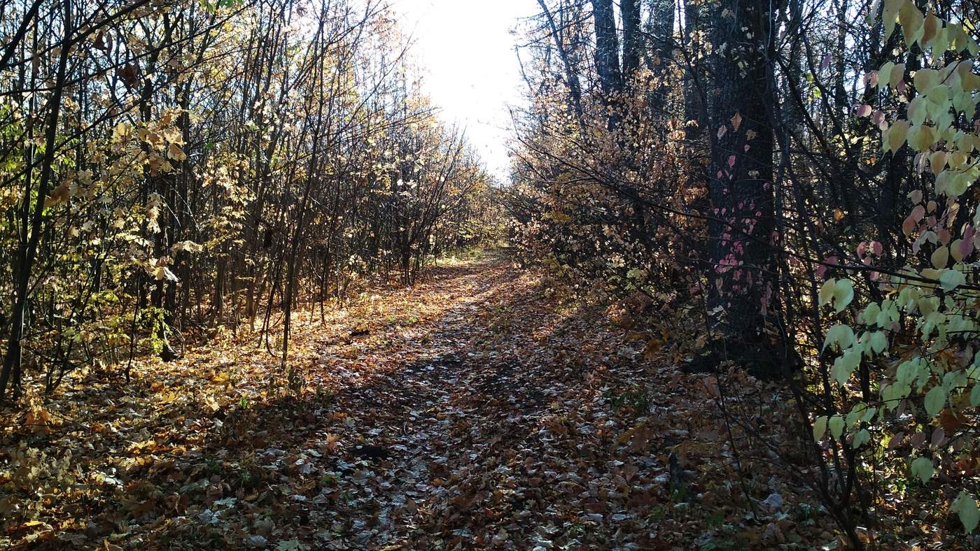 Утро вечера мудренее