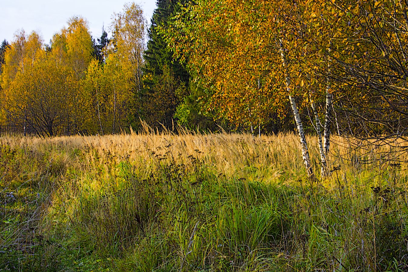 ОКТЯБРЬСКОЕ НАСТРОЕНИЕ