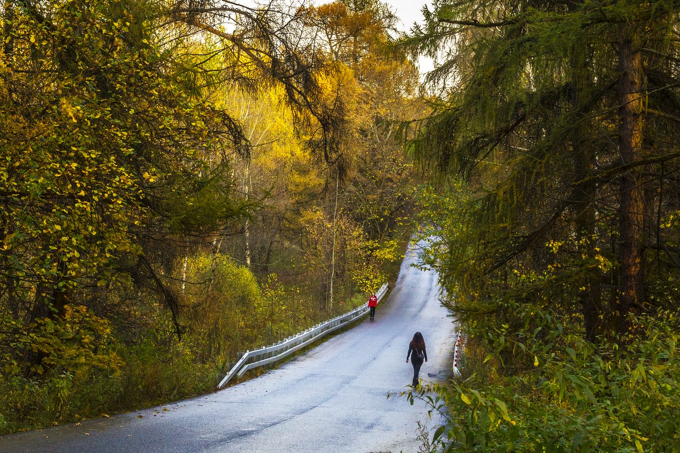 Утро вечера мудренее