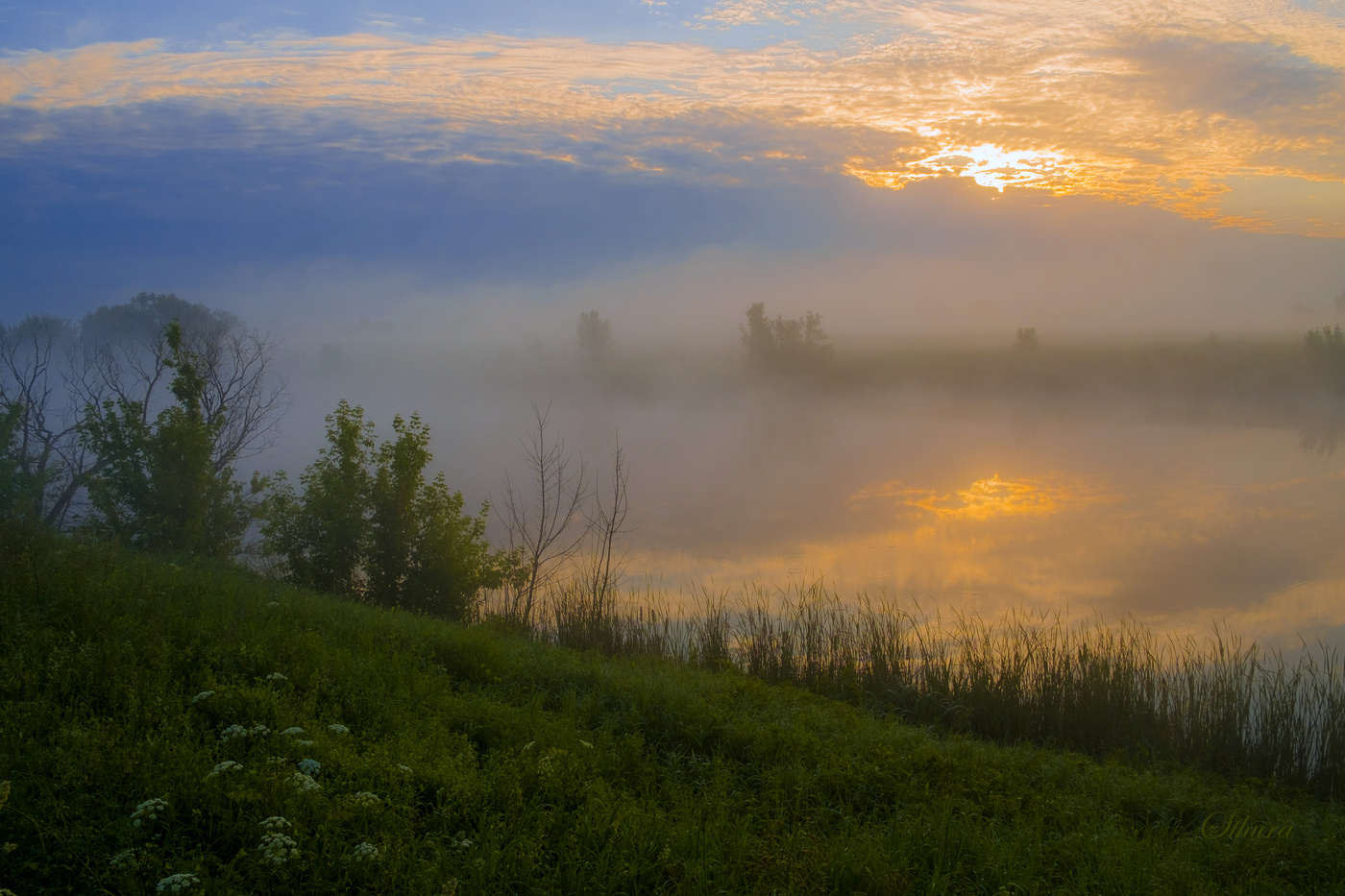 Туча надвигается.