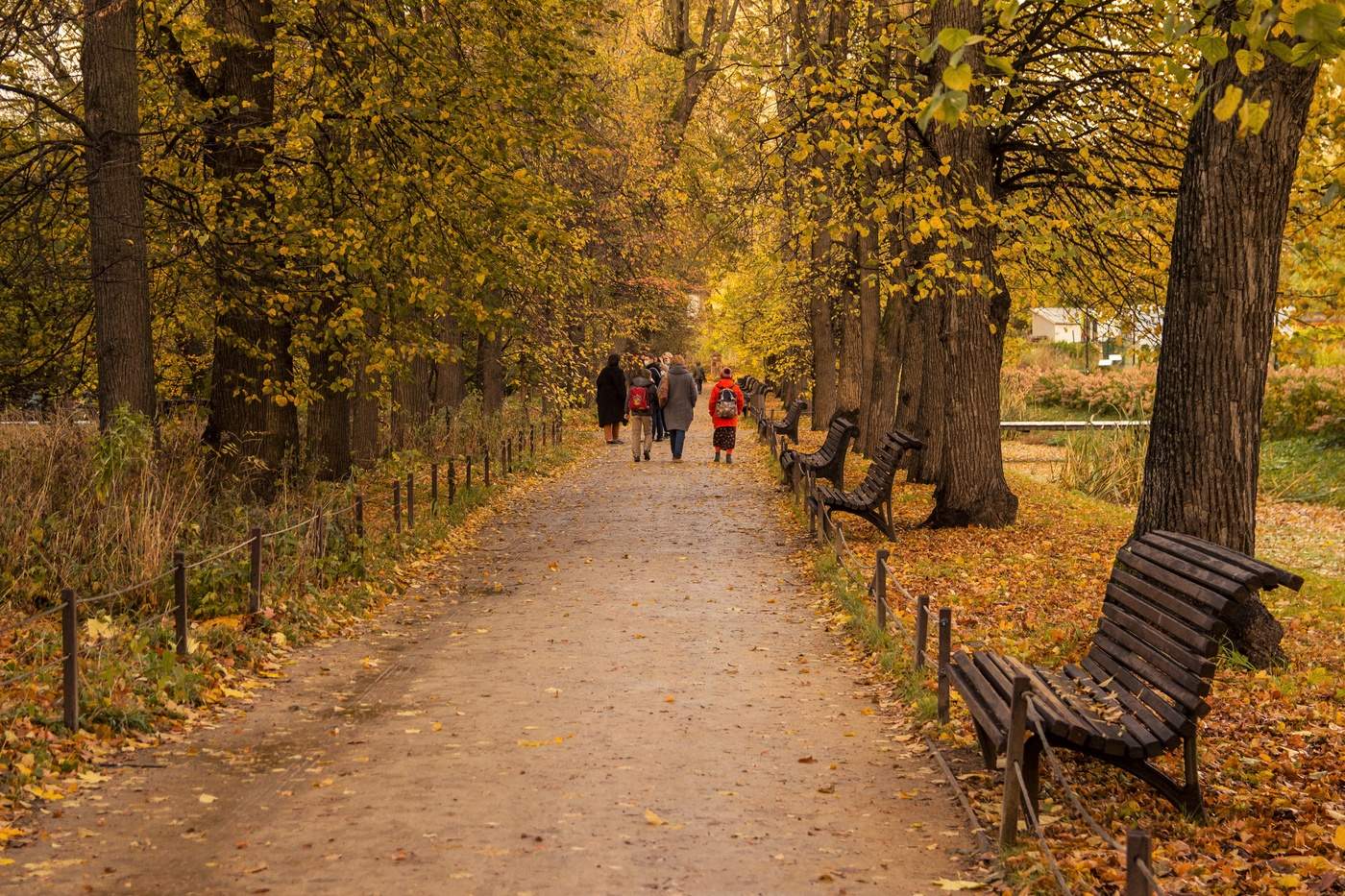 Прогулки по осени
