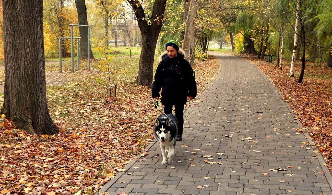 Прогулка по осенней аллеи