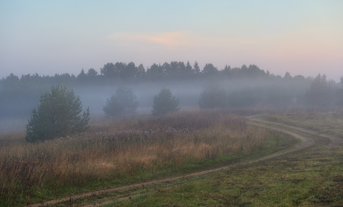 Уходящая в туман