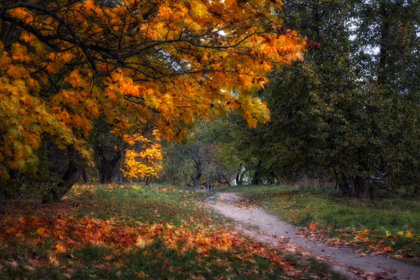 Осенний этюд