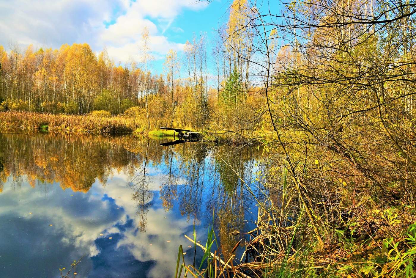 "Ах, Осень! Как можно ее не любить ..."