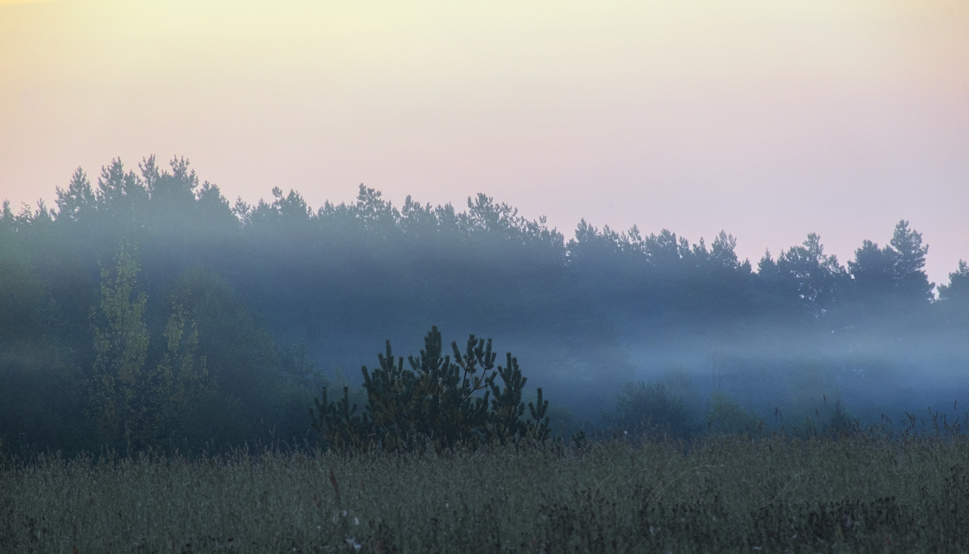 Сквозь волнистые туманы