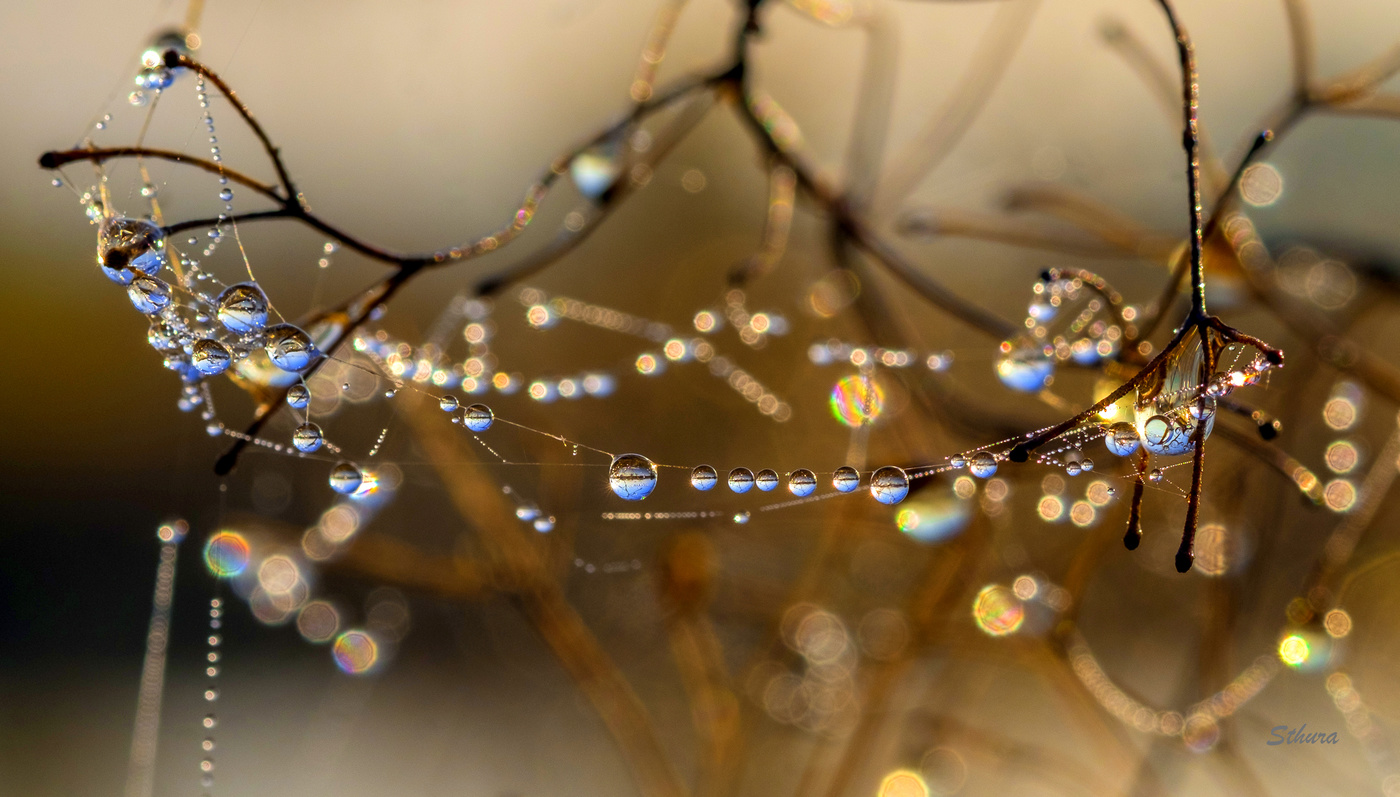 Осенние зарисовки