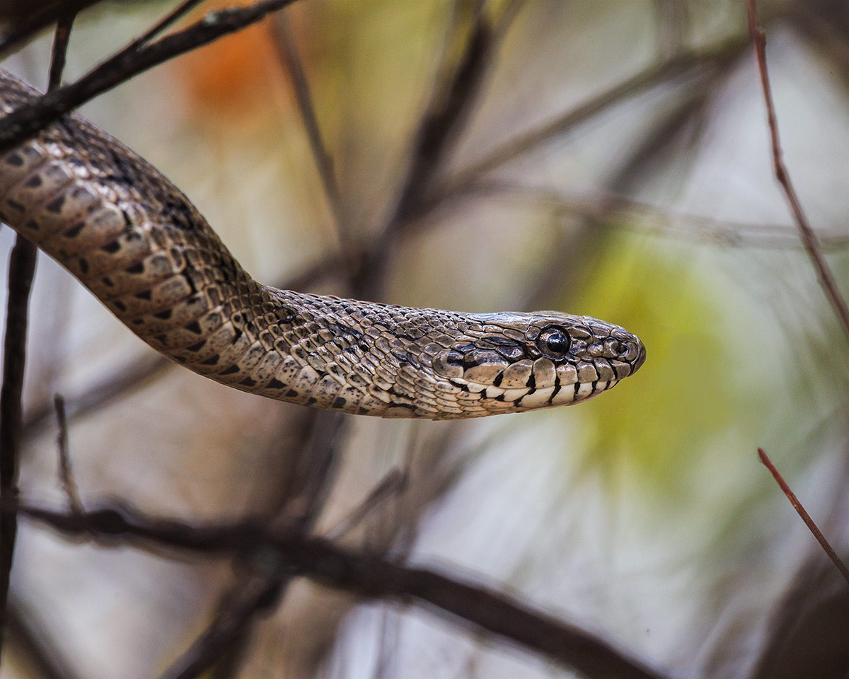 Здравствуйте