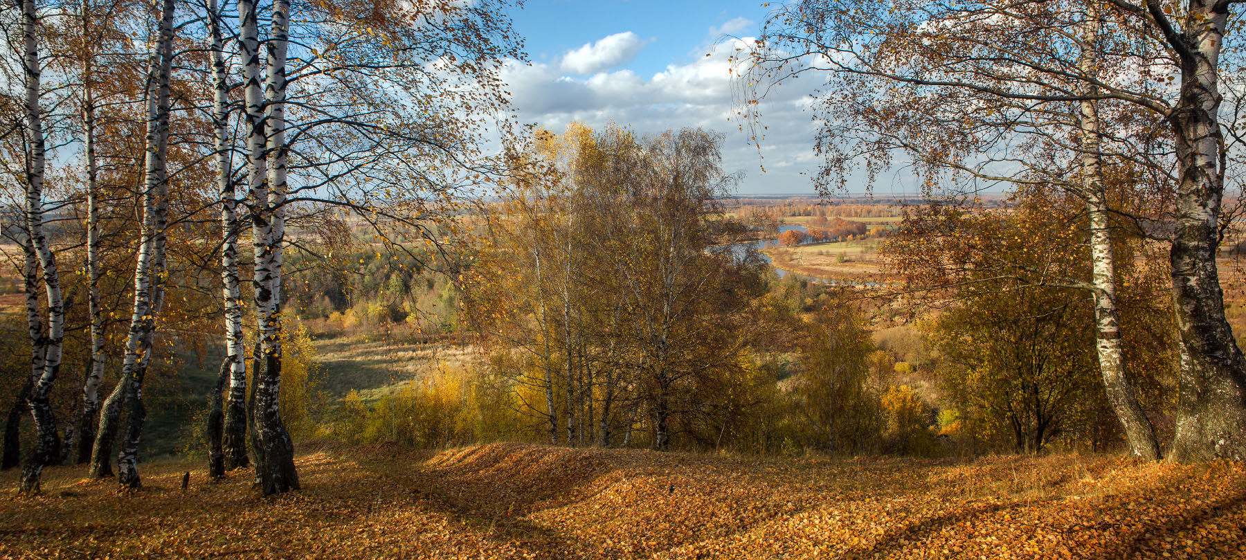 Погожий денек