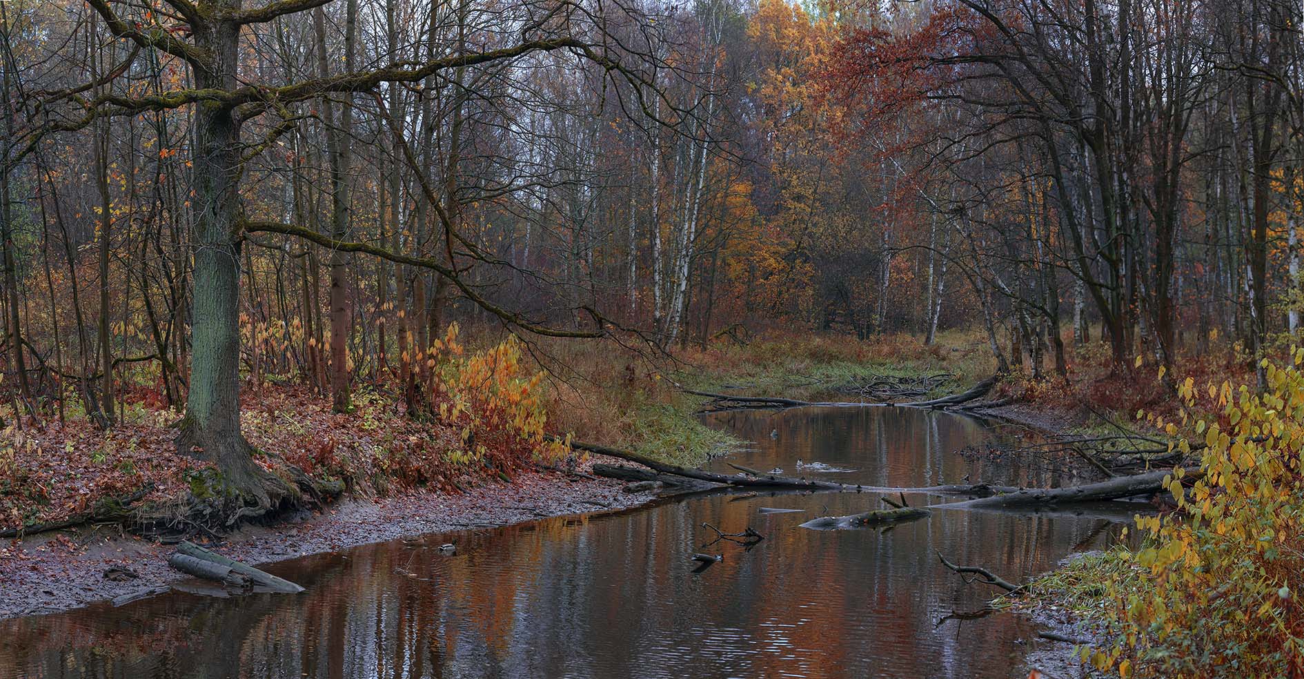 Октябрь уж наступил...