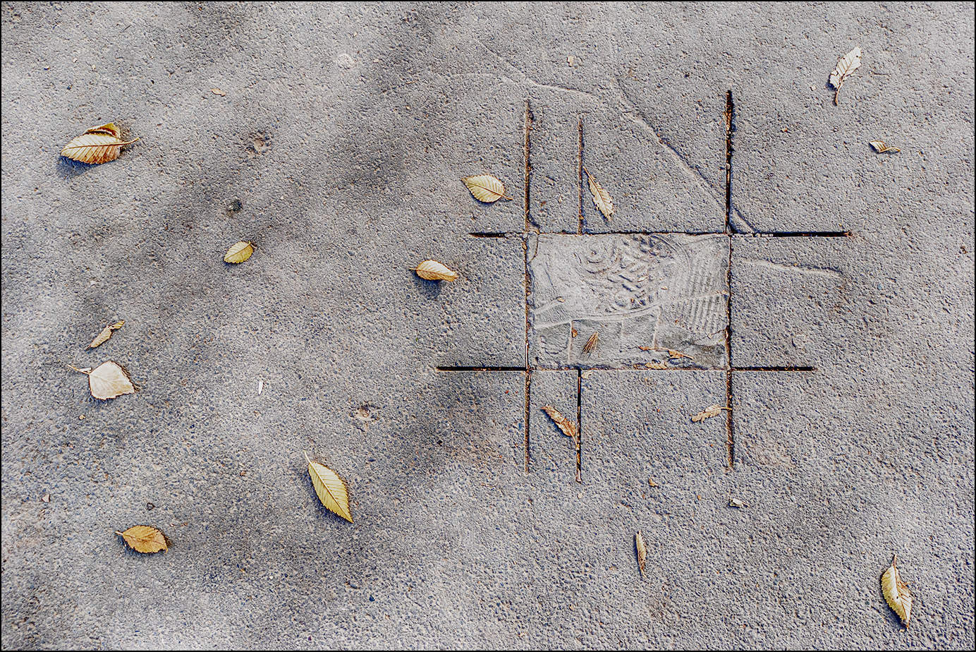 мондрианка осенним днем