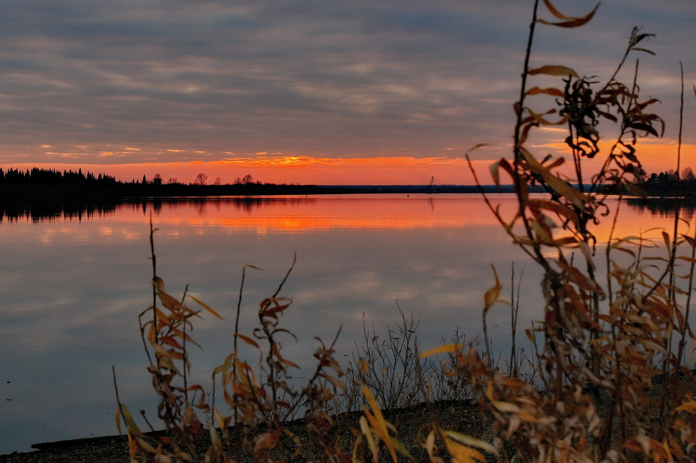 Вечерняя заря.