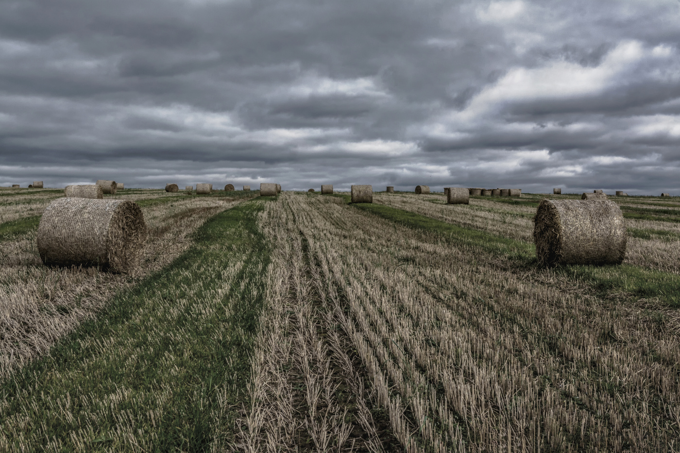 Уж реже солнышко блистало...