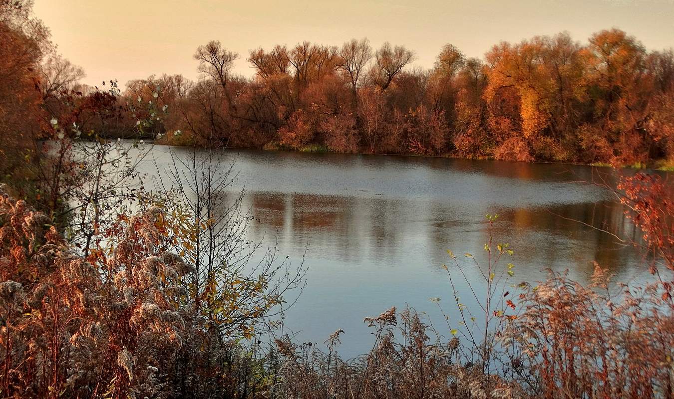 Осень в свете заходящего солнца