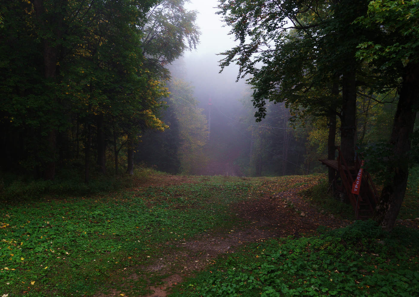 Осень, туман