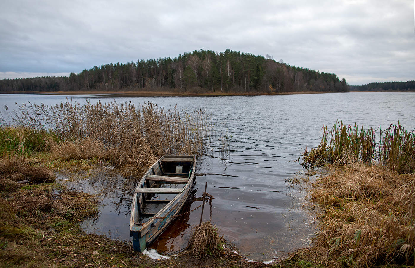 Поздняя осень