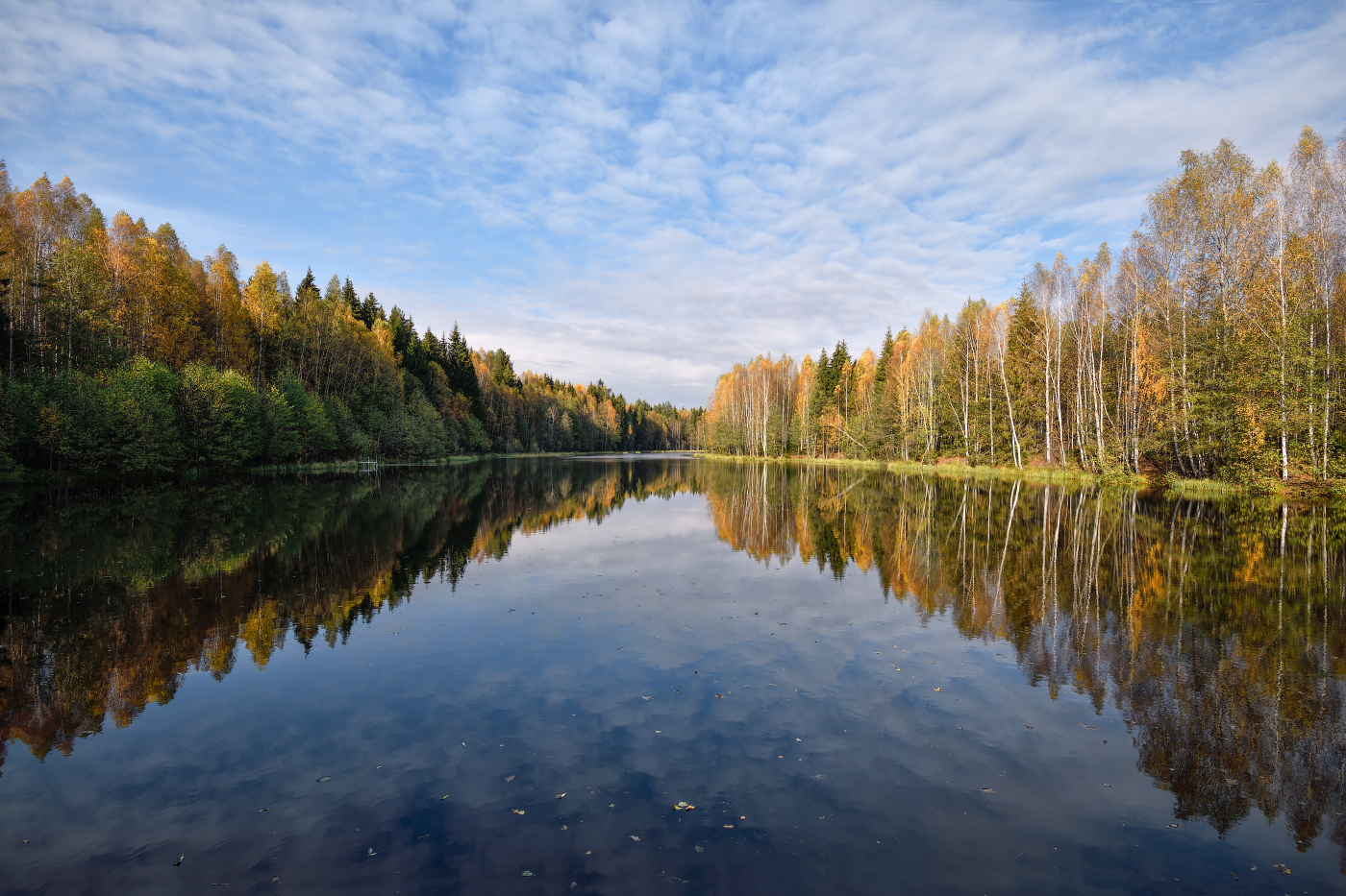 осенняя симметрия