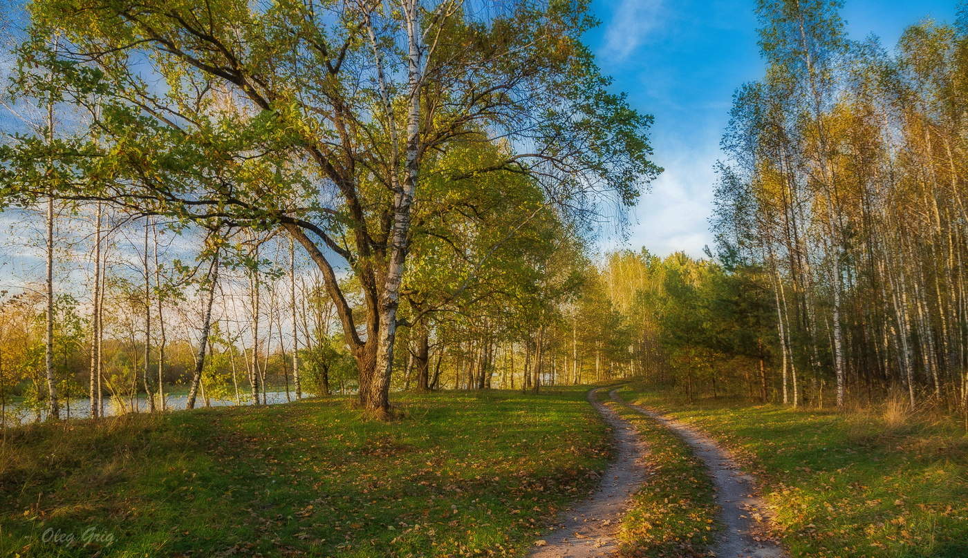 Увлекая своим листопадом...