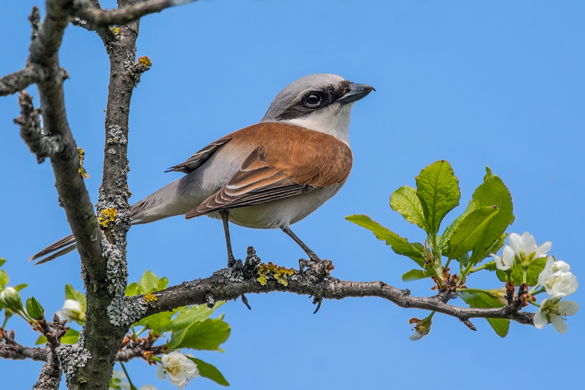 Ожидая любимую.