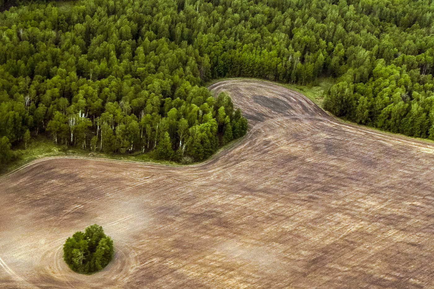 Точка жирная