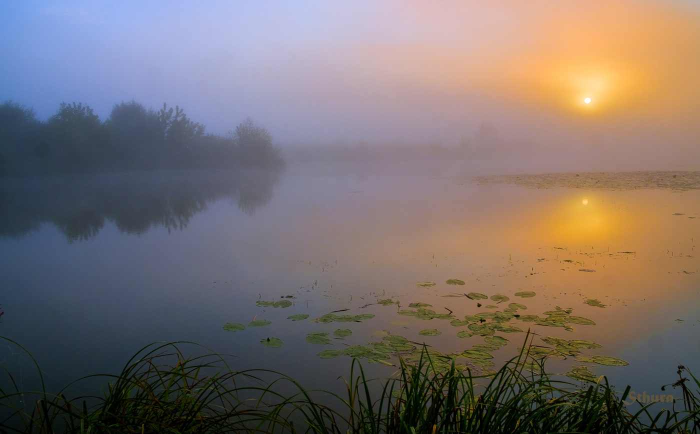 В конце лета.