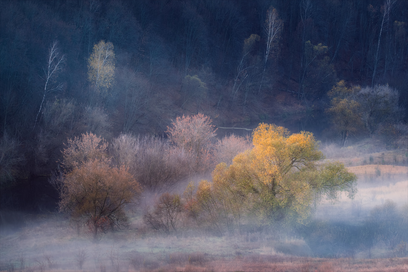 Стелились туманы...