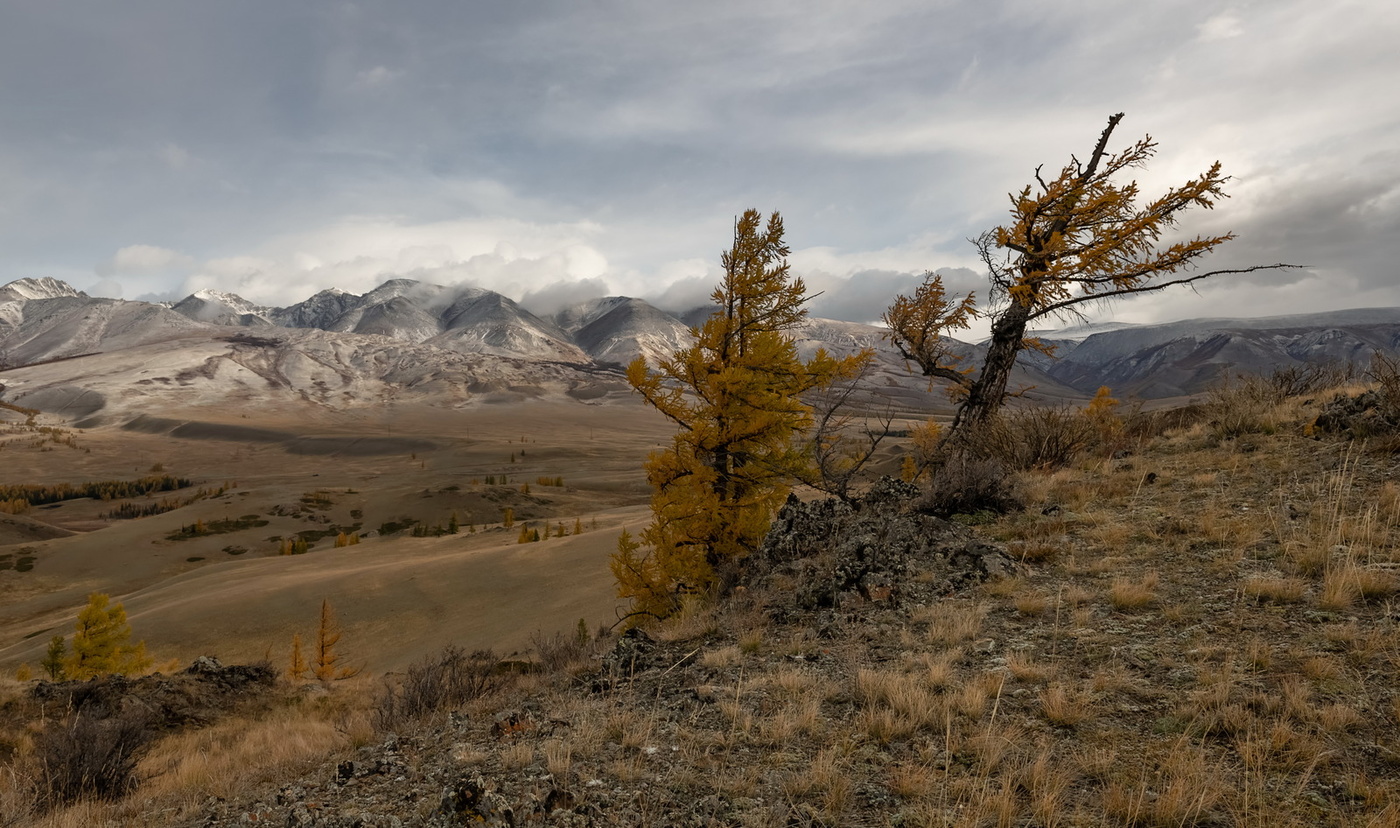 На семи ветрах.