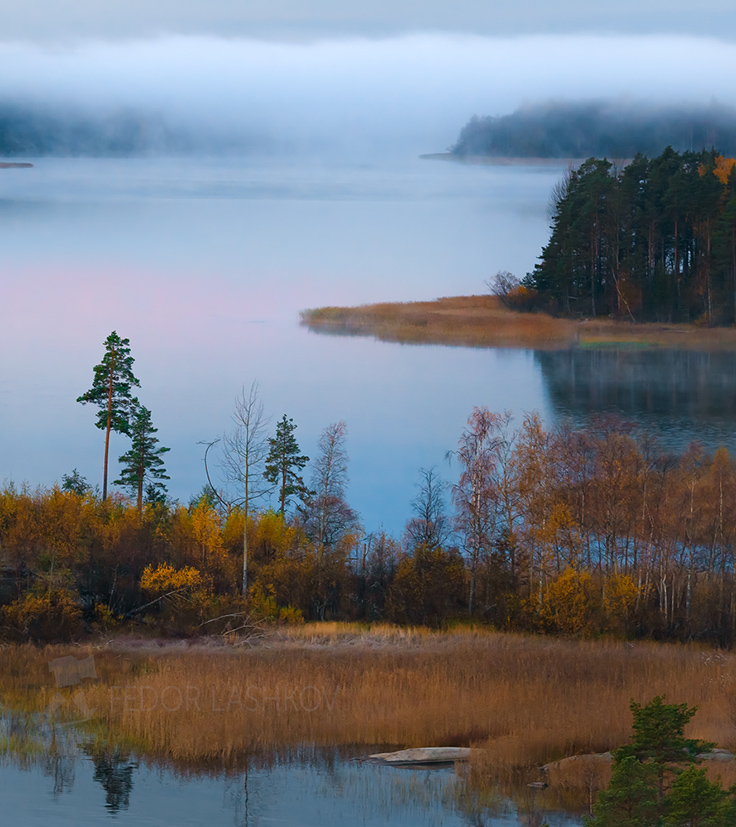 Тишина туманного утра