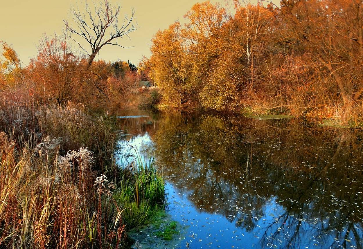 Осенняя зарисовка