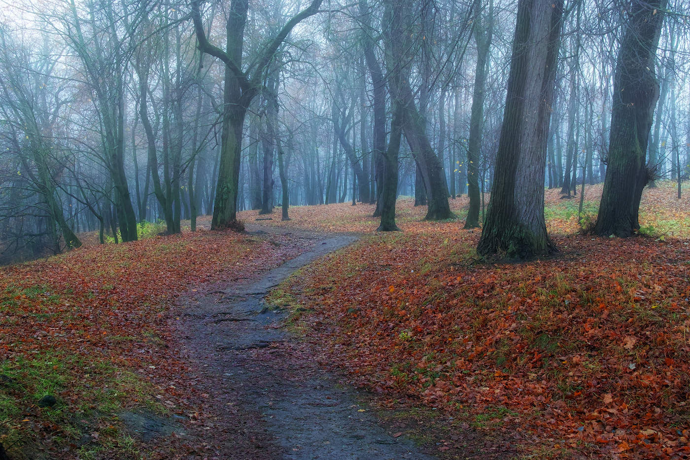 Туманными тропами