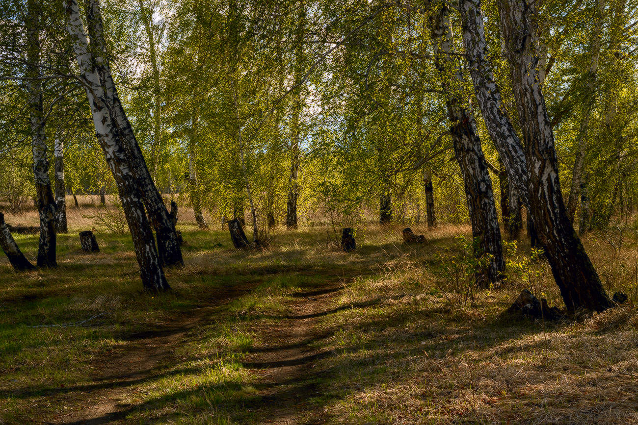 Вспоминая лето