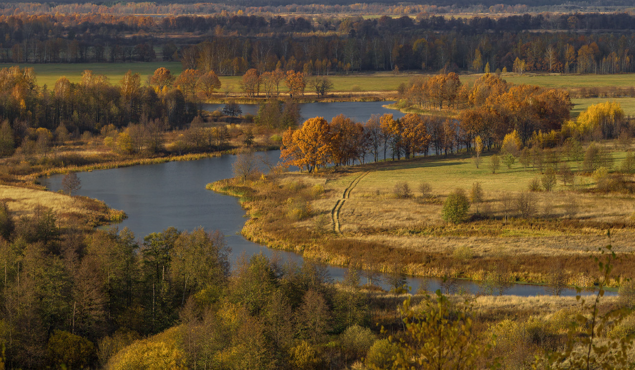 Осеннее настроение