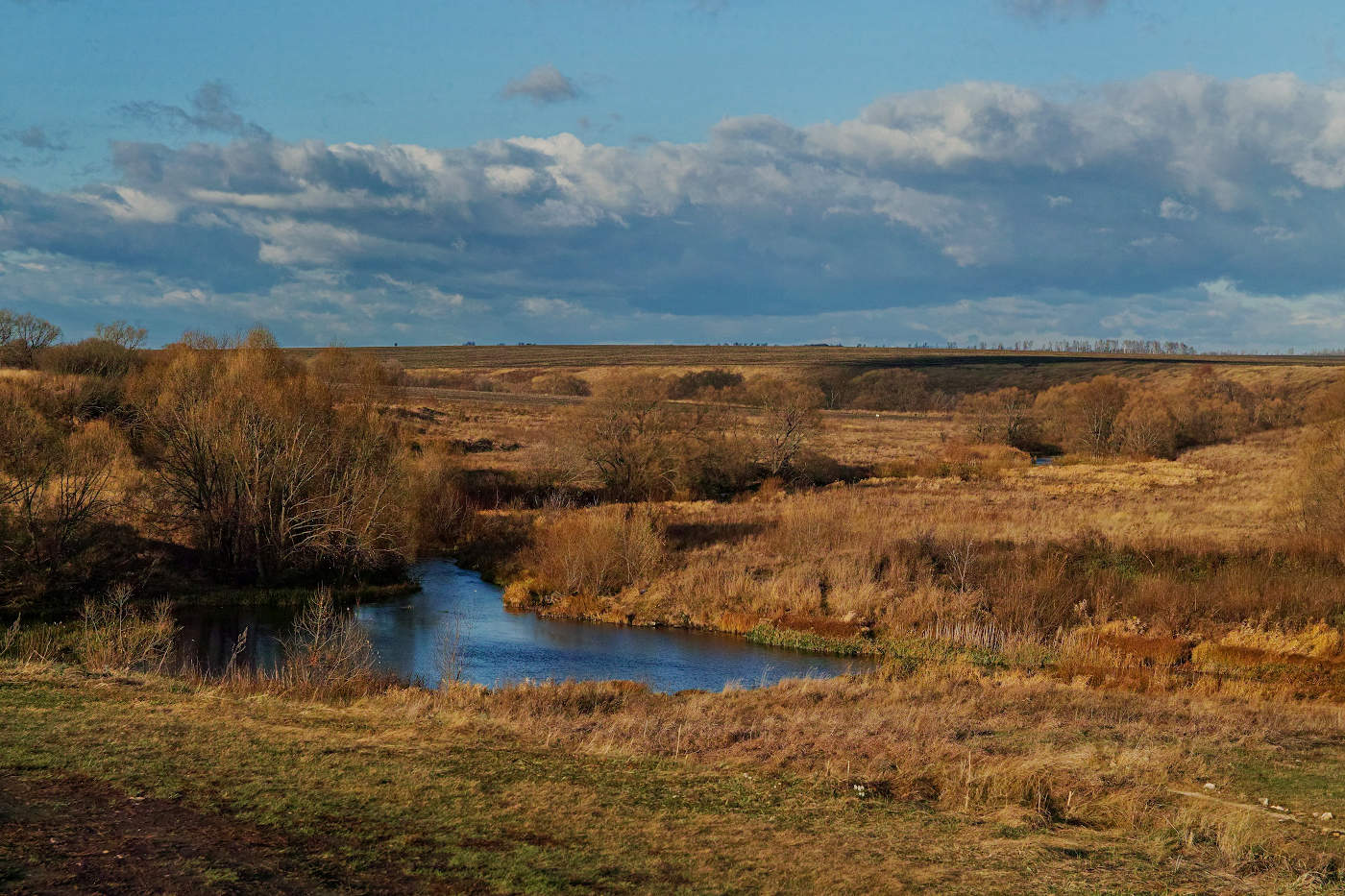 Ноябрь.Есть ещё краски у осени.