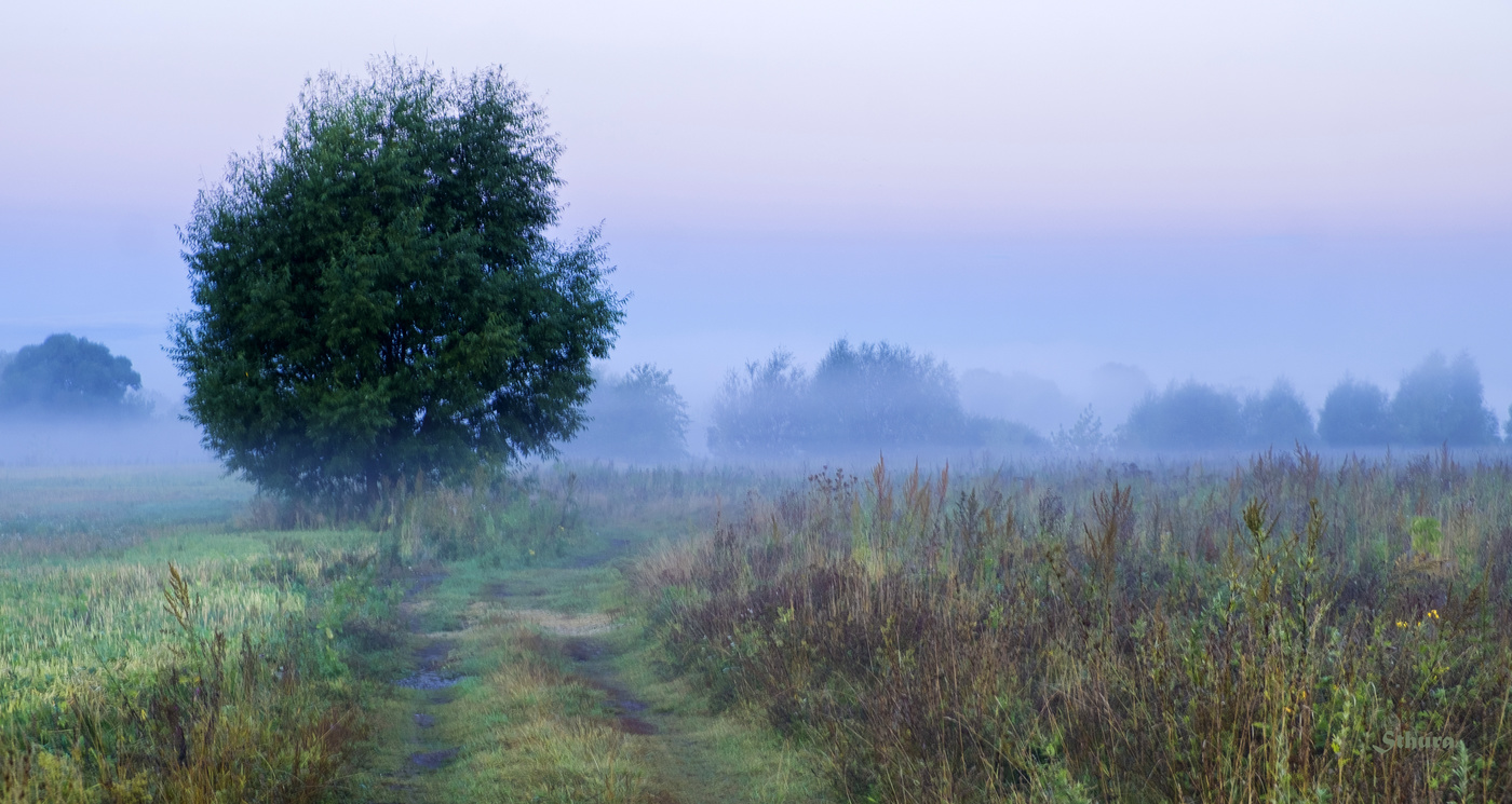 Бродит по полю туман.