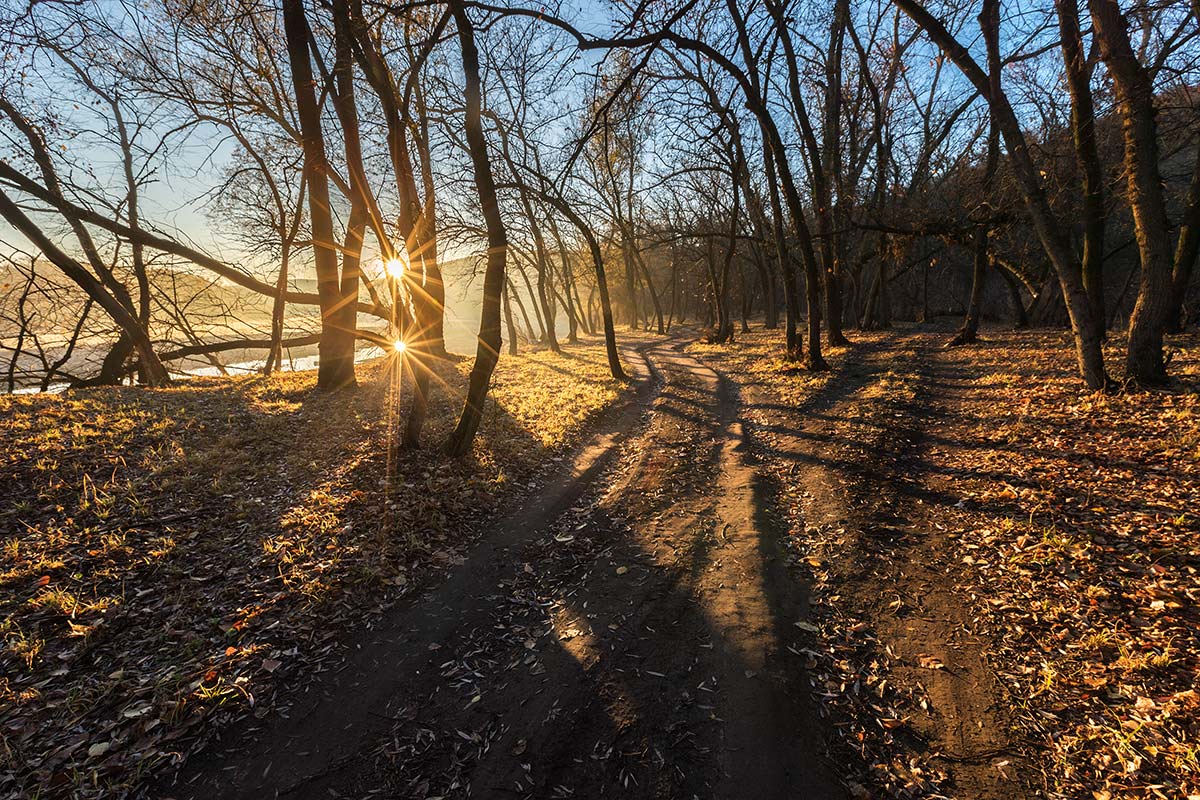 8 ноября. Два солнца в лесу у реки.