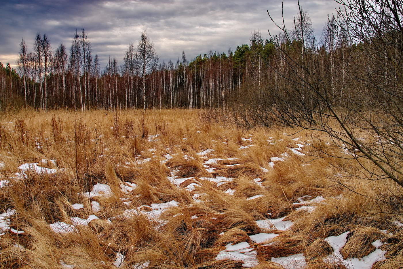 Поздняя осень.