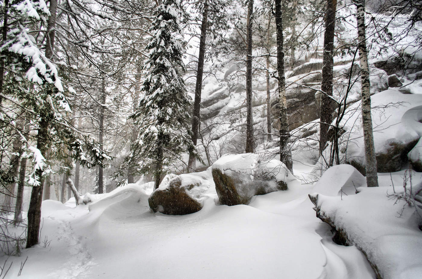 Заповедник "Красноярские столбы" 05.11.2020г.