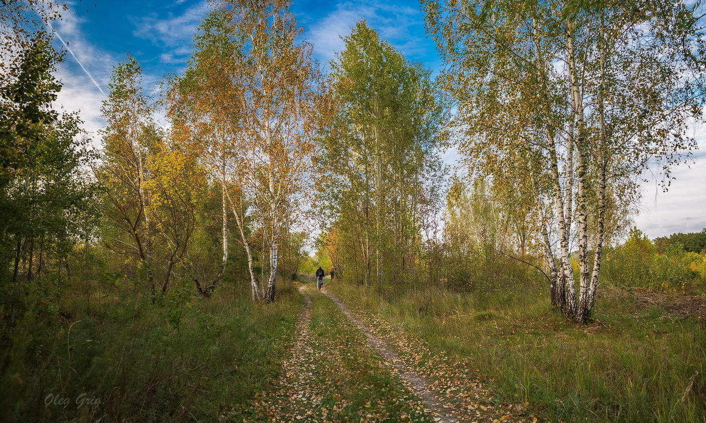 Этой Осени следы...