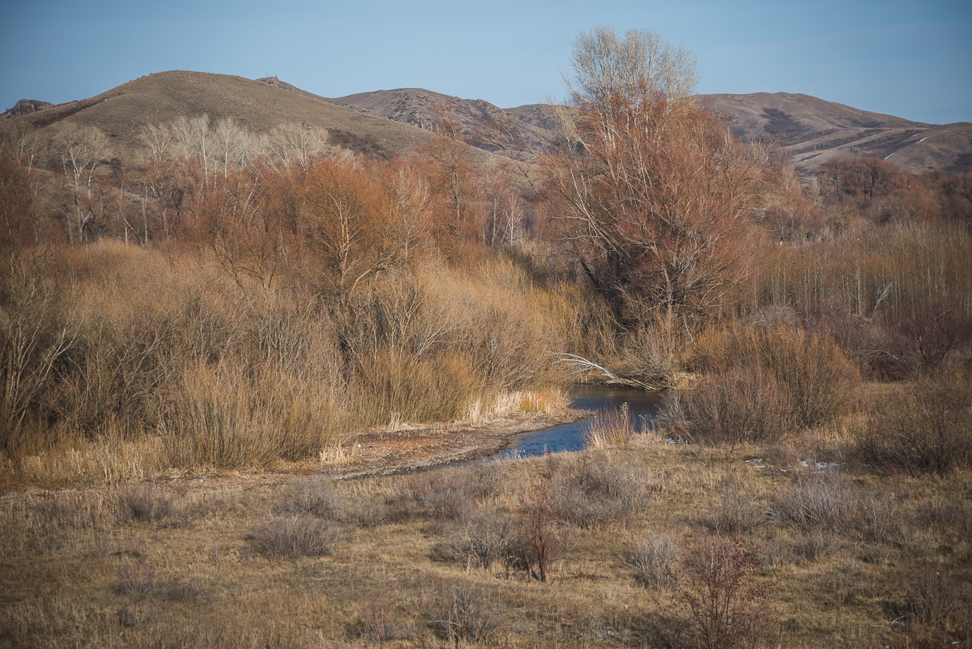 Краски ноября