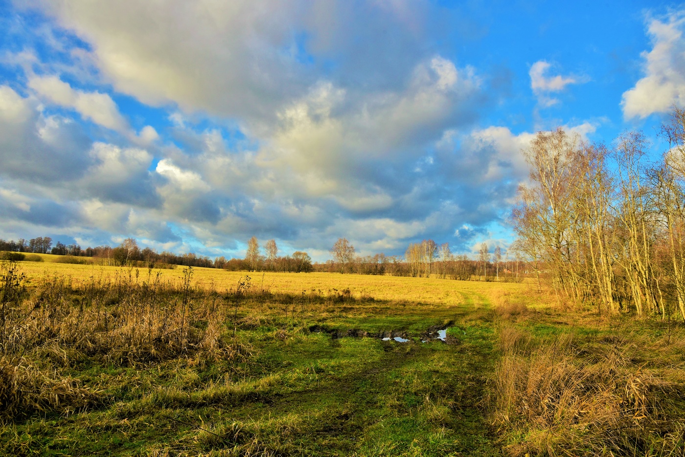 "Ноябрьская осень - бальзаковская дама ..."