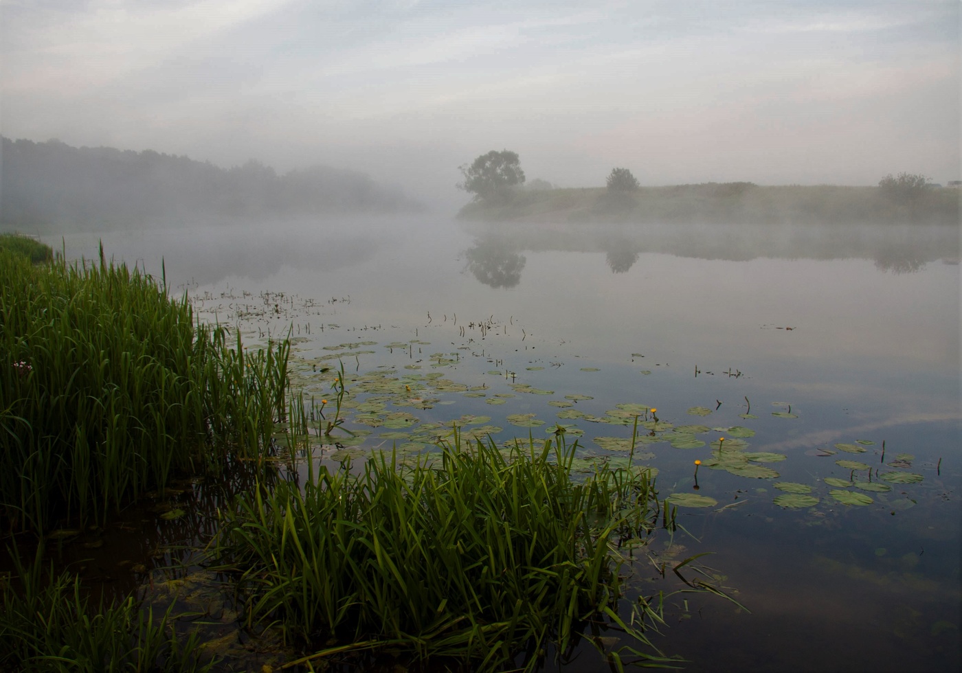 Туман над рекой