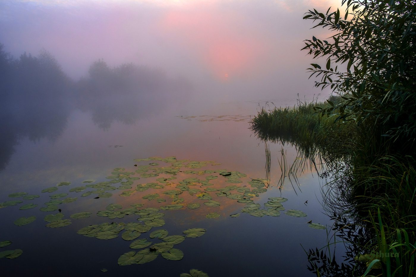 Краски рассвета.