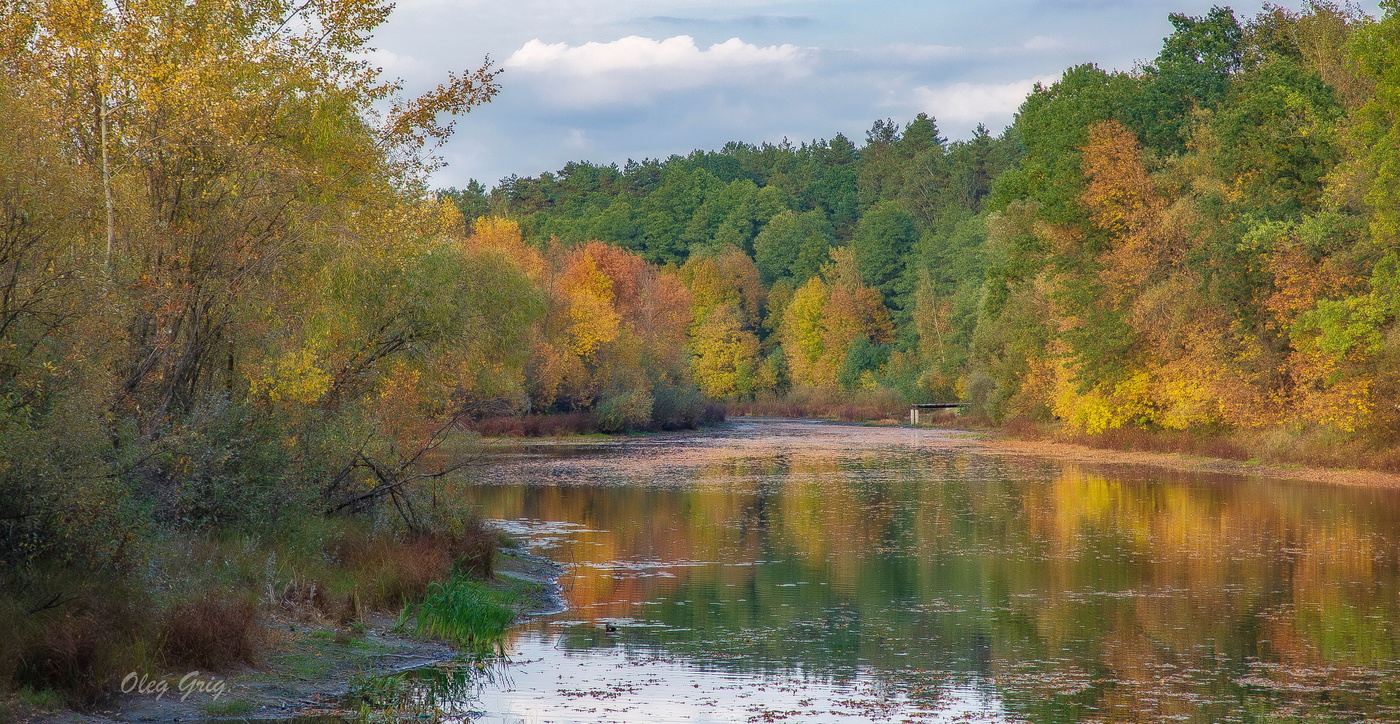 Закружила Осень листья на воде...