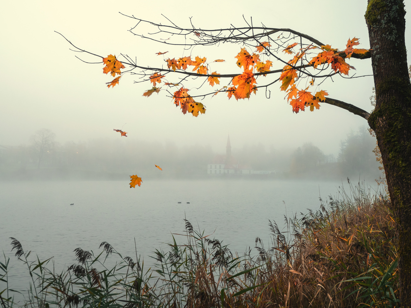 Падают, падают листья...