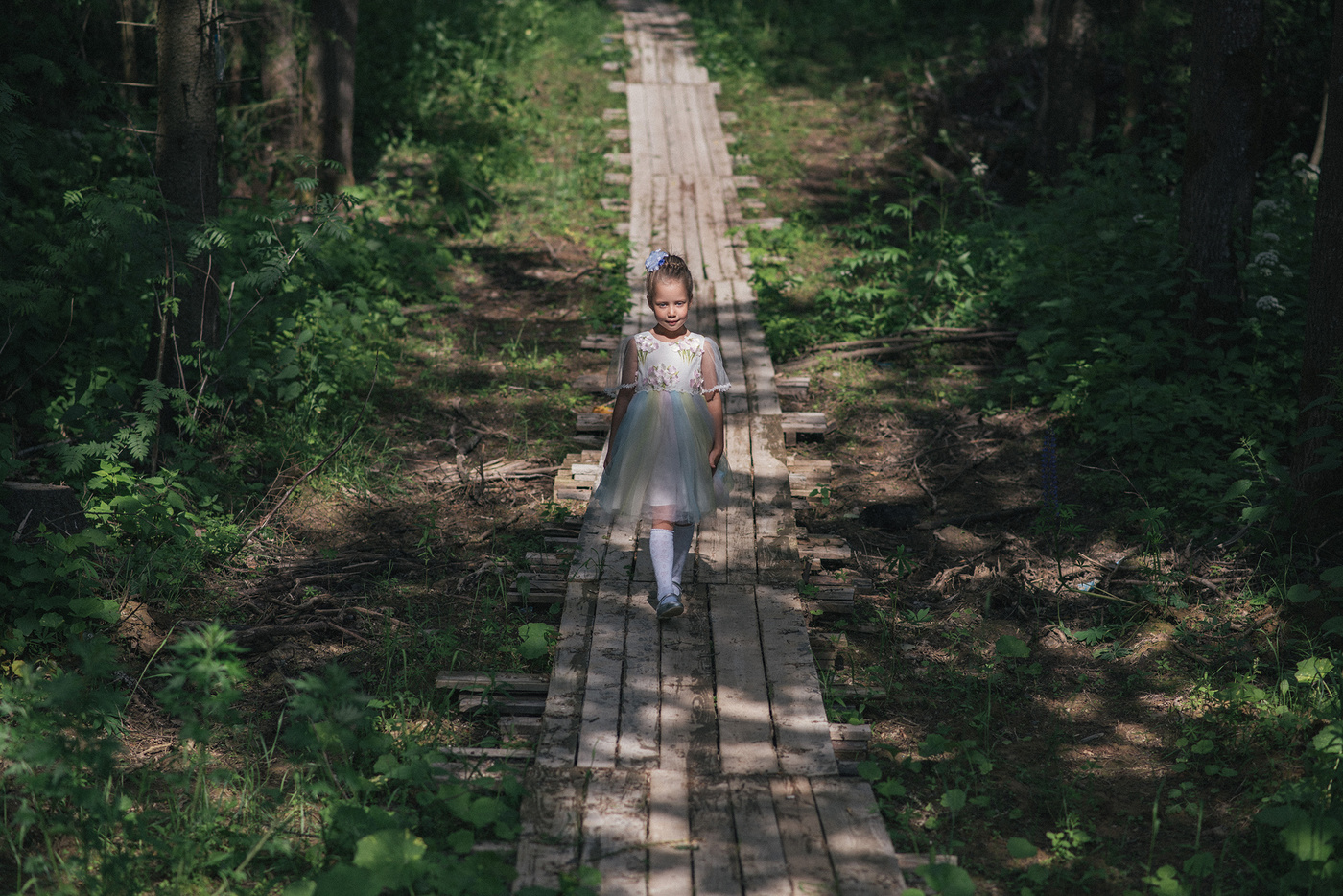 Деревянная тропинка