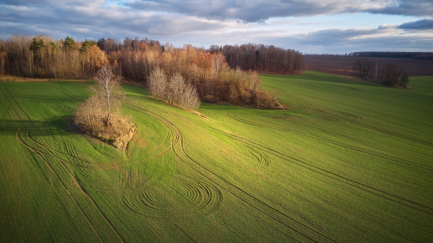 Ноябрьское солнце