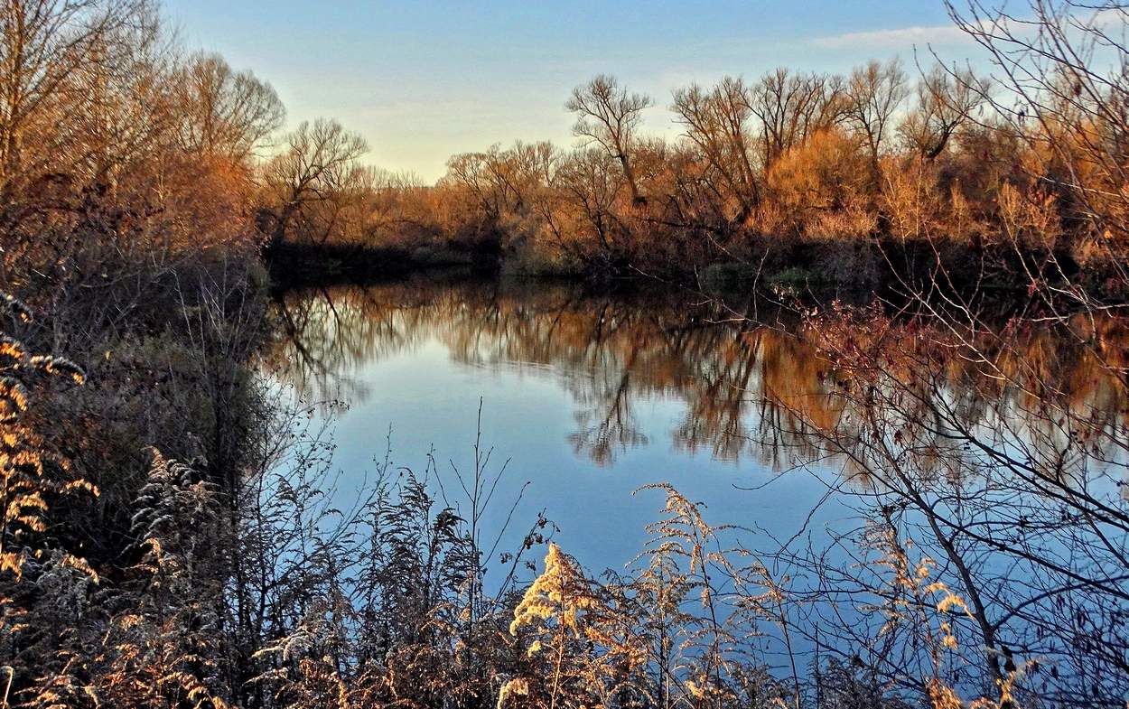 Ноябрьским осенним вечером