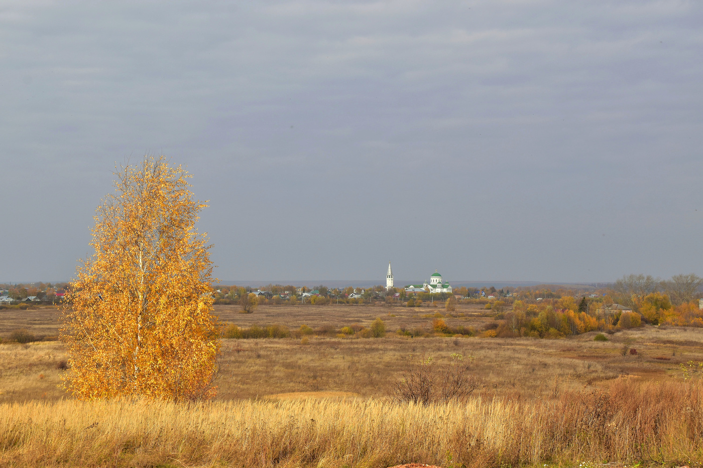 Прогулка в осень...