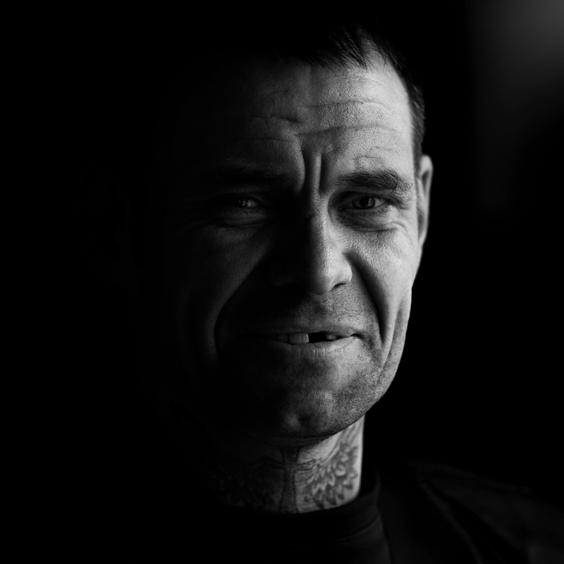 свободный сокол