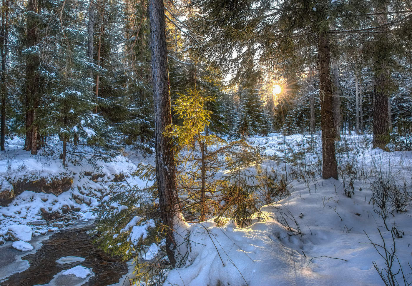Вечерний луч